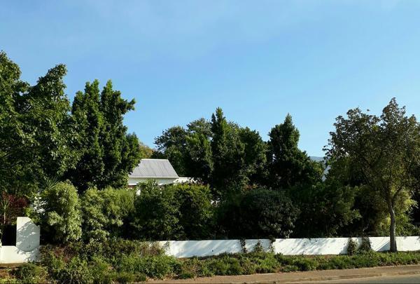 Winterson En Somerkoelte Swellendam Exterior foto