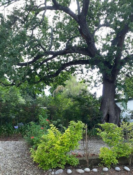 Winterson En Somerkoelte Swellendam Exterior foto